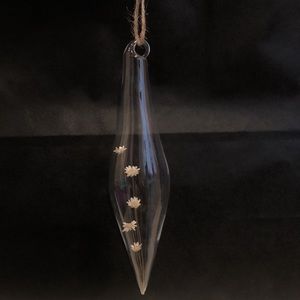 Encapsulated botanical